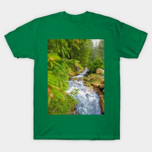 Prut river T-Shirt